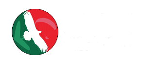AVLM
